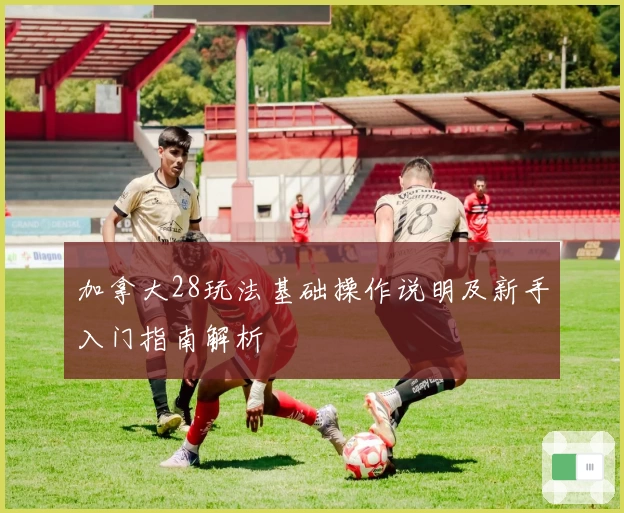 加拿大28玩法基础操作说明及新手入门指南解析