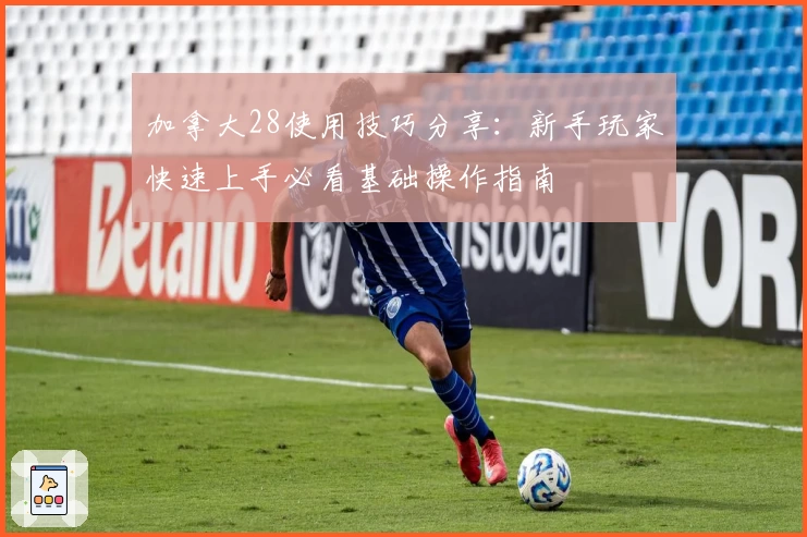 加拿大28使用技巧分享：新手玩家快速上手必看基础操作指南