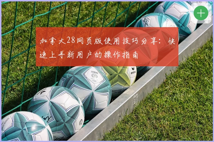 加拿大28网页版使用技巧分享：快速上手新用户的操作指南