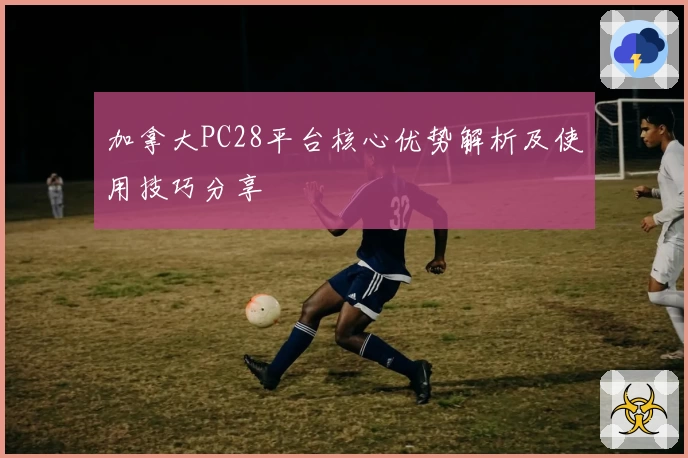 加拿大PC28平台核心优势解析及使用技巧分享