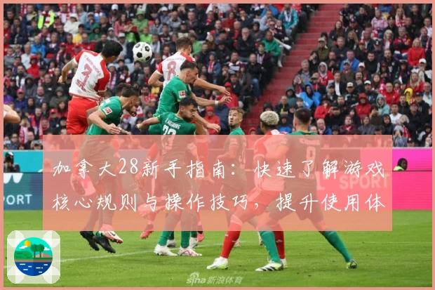 加拿大28新手指南：快速了解游戏核心规则与操作技巧，提升使用体验