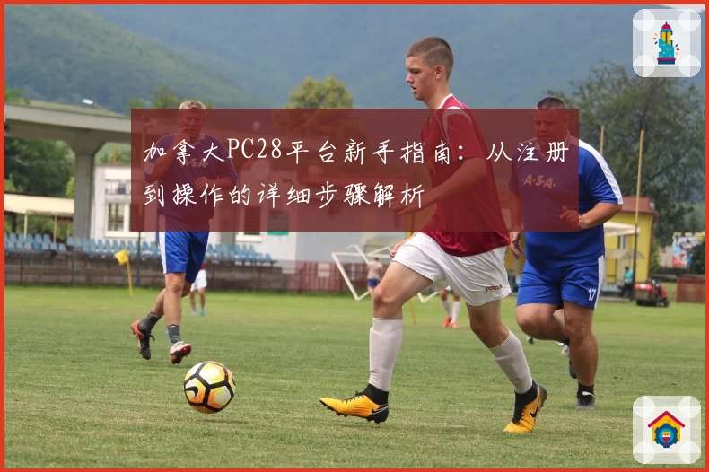 加拿大PC28平台新手指南：从注册到操作的详细步骤解析