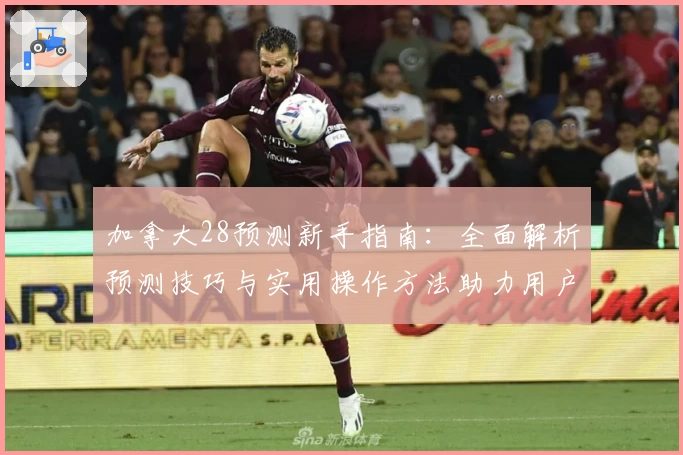 加拿大28预测新手指南：全面解析预测技巧与实用操作方法助力用户快速入门