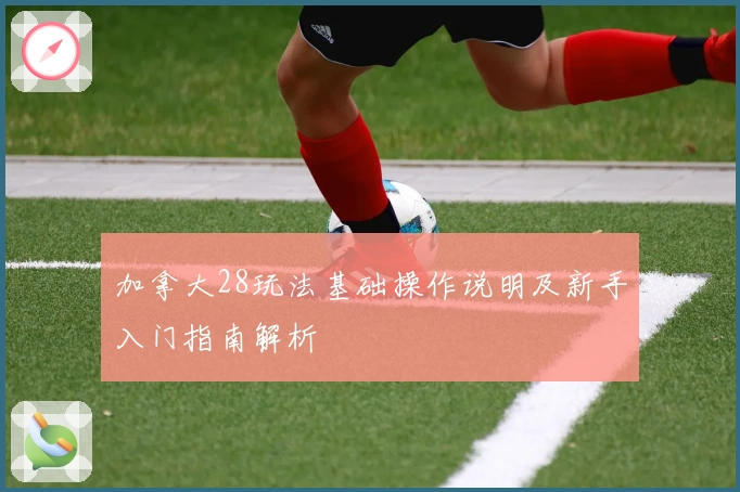 加拿大28玩法基础操作说明及新手入门指南解析