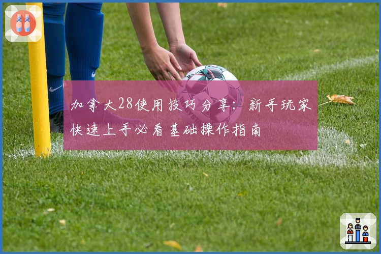 加拿大28使用技巧分享：新手玩家快速上手必看基础操作指南