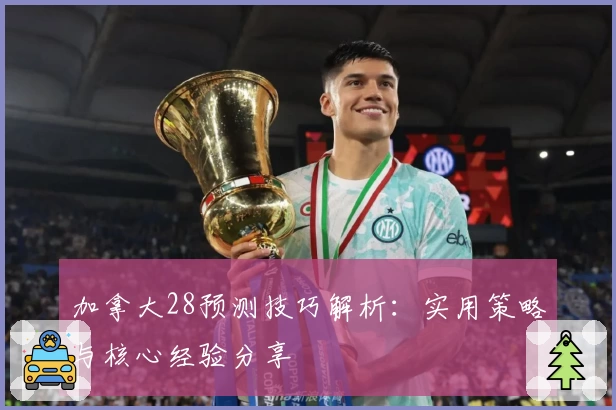加拿大28预测技巧解析：实用策略与核心经验分享